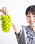 Shine Muscat grapes                    Grown in Japan